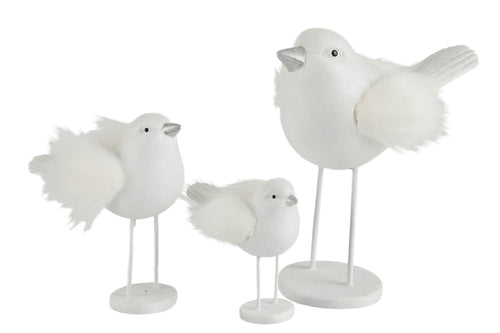 J-Line figuur Vogel - polyresin/imitatiebont - wit - large