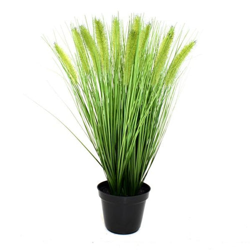 Maxifleur Pennisetum kunst Pluimgras plant 50cm in pot 12cm