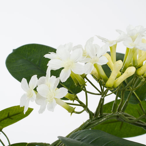 Mica Decorations Stephanotis Kunstplant in Bloempot Stan - H50 x Ø40 cm - Wit