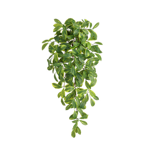 Maxifleur Hoya Carnosa Kunst Hanger 80cm RT