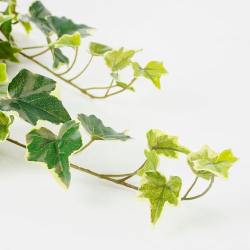 Mica Decorations Hedera Kunst Hangplant - H71 cm - Groen Bont