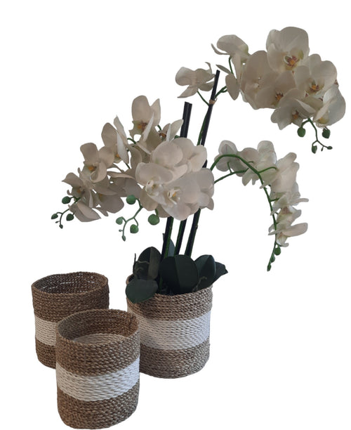 FurniLux Natuurlijke plantenbakken/ Mandenset - 20x20x21cm