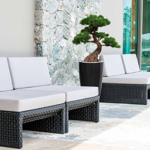 Maxifleur Pinus Bonsai x5 deluxe kunstplant op voet 80cm - UV bestendig