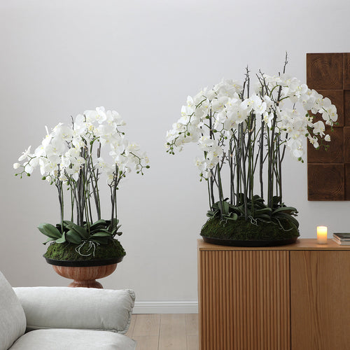 Sia Deco - Kunstmatig orchideeën arrangement met foam 90cm - Wit - Polyester - H113