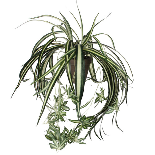 Mica Decorations Chlorophytum Kunstplant in Bloempot Stan - H45 x Ø45 cm - Groen