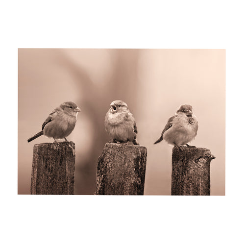 Art for the Home Buitencanvas - Vroege Vogels - Sepia - 50x70cm - vtwonen shop