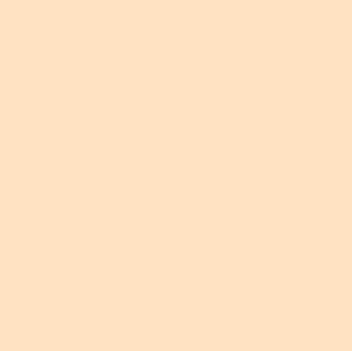 Graham & Brown Peachy - Matte Muurverf - 2,5L