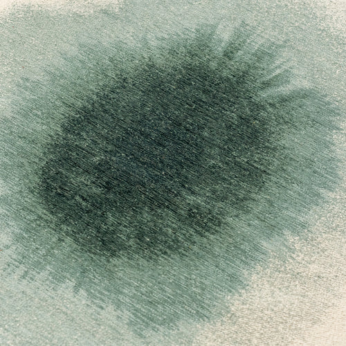 Louis De Poortere vloerkleed Green Day - groen - 240x240cm