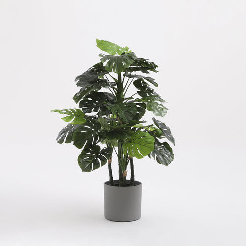 Mica Decorations Monstera Kunstplant - H140 x Ø80 cm - Groen