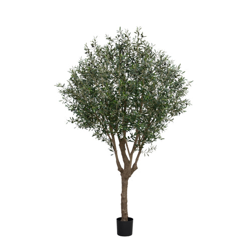 Maxifleur Olijf Kunstboom XL 250cm Deluxe