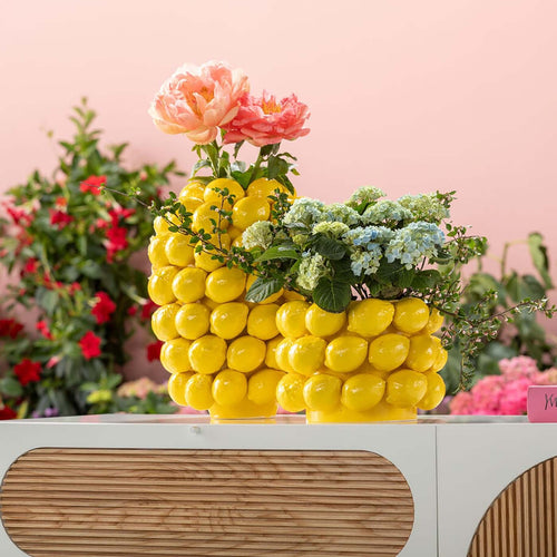 Fruit Vazen online kopen? Ruime keuze Fruit Vazen online kopen? Ruime keuze