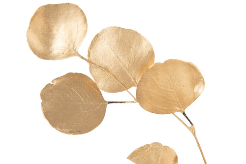 J-Line decoratie tak Eucalyptus Droogbloemen - riet - goud
