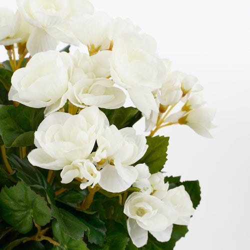 Mica Decorations Begonia Kunstplant in Bloempot Stan - H37 x Ø36 cm - Wit