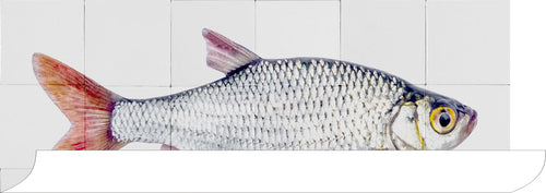 ESTAhome muursticker vis grijs en rood - 97 x 48.5 cm - 159029 - vtwonen shop