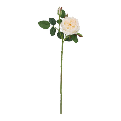 Maxifleur Kunst Rozentak Austin 52cm Creme