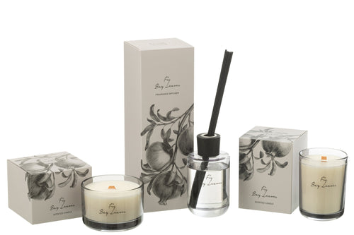 J-Line geurstokjes Walk in the Woods - Vijgen Bessen Bladeren - zwart - 180 ml