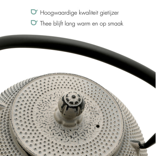Bredemeijer - Theepot Jang 1,1L gietijzer betongrijs