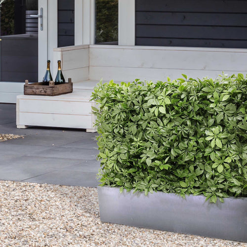 Maxifleur Schefflera kunstheg 80x25x56cm - UV bestendig