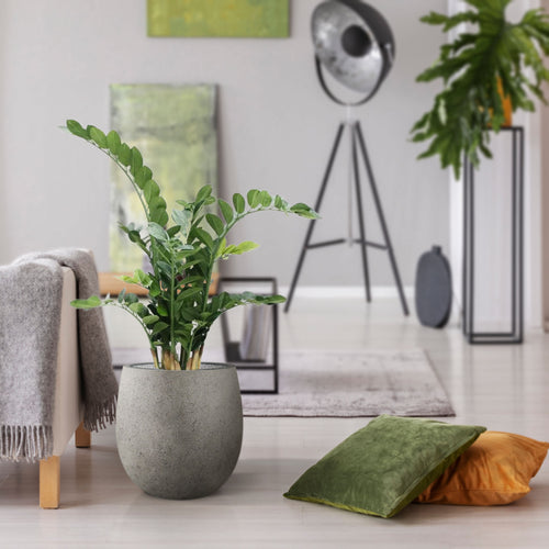 Maxifleur Zamioculcas kunstplant 100cm