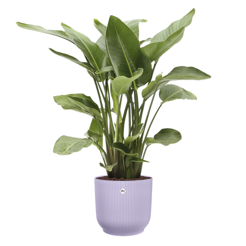 elho vibes fold rond 40 zacht lila | Bloempot | Modern decoratief ribpatroon