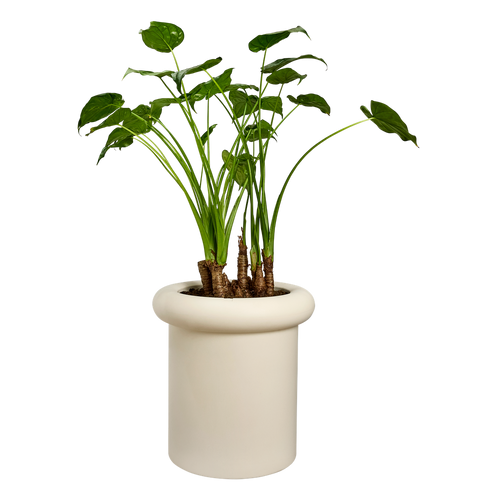 elho lana 46 linnen wit | Bloempot | Trendgericht premium statementdesign