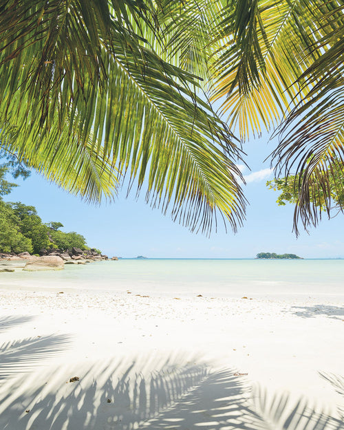 Sanders & Sanders fotobehang strand groen en blauw - 200 x 250 cm - 612567