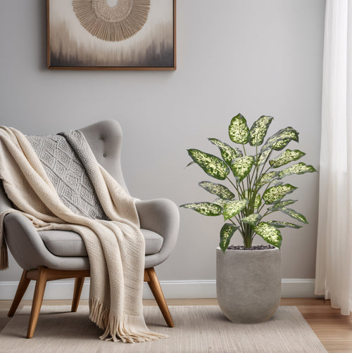 Maxifleur Dieffenbachia Kunstplant 75cm Deluxe