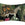 MOOOI decoratiekussen Menagerie - 40x60 / 16x24 Inch cm - ivoor