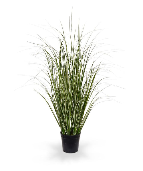 Maxifleur Kunst Rietgras plant 60cm - groen/creme
