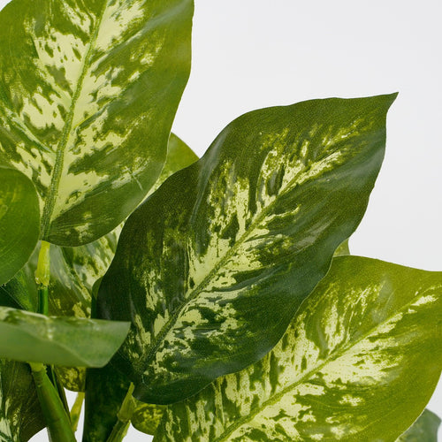 Mica Decorations Dieffenbachia Kunstplant in Bloempot Stan - H40 x Ø30 cm - Groen