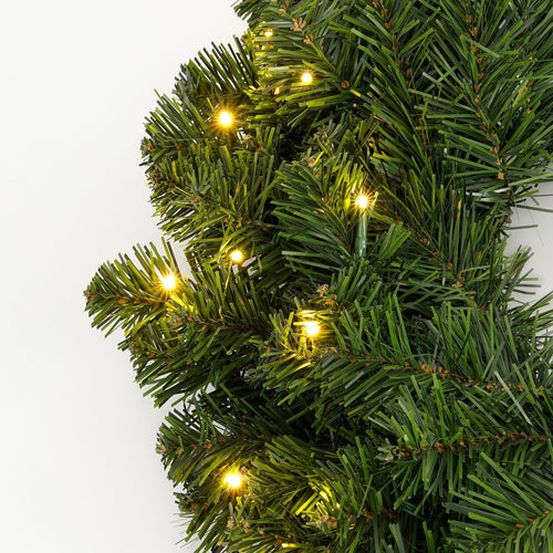 Black Box Trees Limber krans led outdoor groen warm wit multicolour 50L TIPS 140 en timer & dimmer afstandsbediening - h15xd60cm