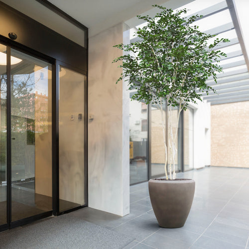 Maxifleur Kunst Berkenboom XXL 350cm Deluxe