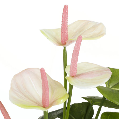 Mica Decorations Anthurium Kunstplant in Bloempot Stan - H40 x Ø30 cm - Lichtroze - vtwonen shop