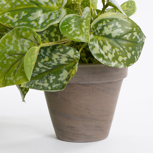 Mica Decorations Scindapsus Kunstplant in Bloempot Stan - H44 x Ø17 cm - Groen - vtwonen shop