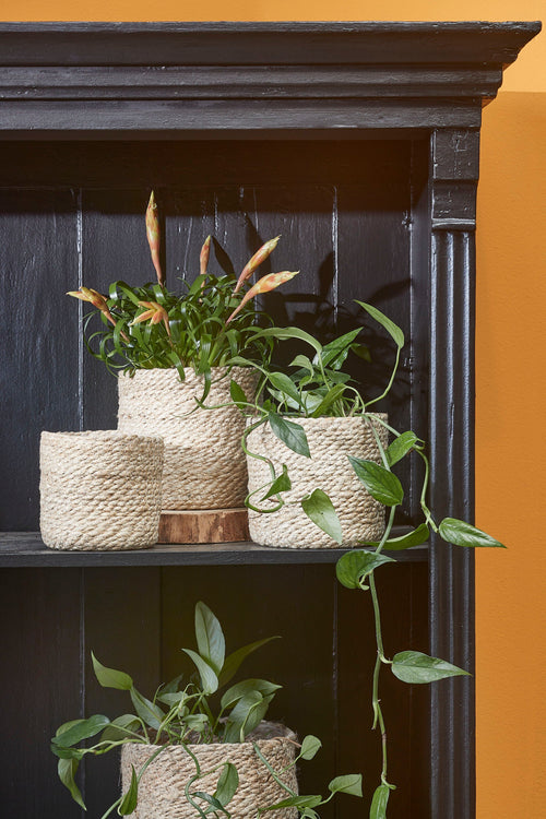 Mica Decorations Atlantic Plantenmand - Set van 3 - H16 x Ø16 cm - Jute - Crème