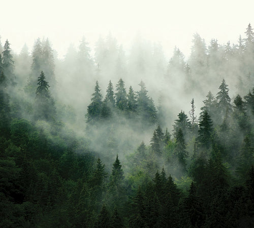 Sanders & Sanders fotobehang berglandschap met bomen groen - 270 x 300 cm - 601175