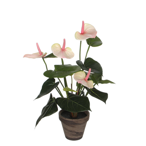 Mica Decorations Anthurium Kunstplant in Bloempot Stan - H40 x Ø30 cm - Lichtroze - vtwonen shop