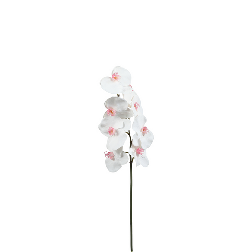 Sia Deco Orchidee Phalaenopsis Steel Kunstmatig - wit - H60 - vtwonen shop