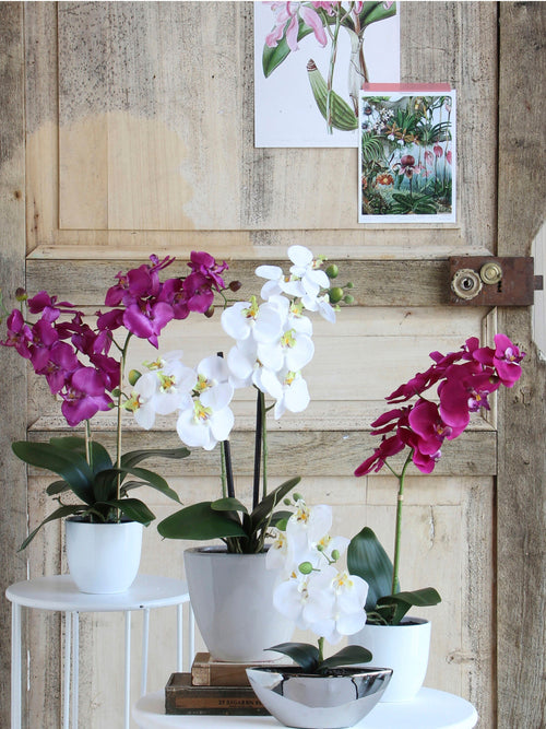Mica Decorations Phalaenopsis Kunstplant in Bloempot Tusca - H60 x Ø16 cm - Paars - vtwonen shop