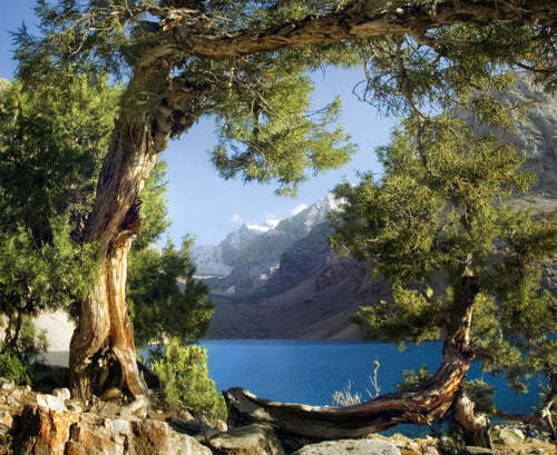 Sanders & Sanders fotobehang berglandschap blauw, groen en beige - 375 x 270 cm - 600483