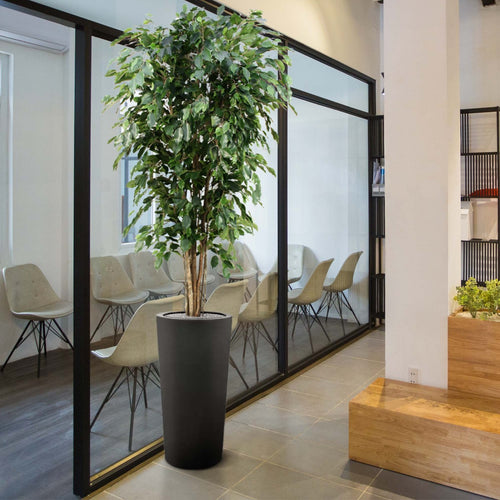 Maxifleur Ficus Exotica deluxe kunstboom 180cm - groen
