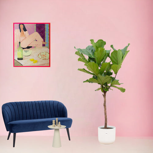 Trendyplants - Ficus Lyrata stam inclusief elho Vibes Fold Round wit - 160 cm - Ø30cm - vtwonen shop