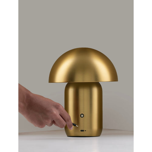 Nova Luce POIS Geïntegreerde LED-tafellamp, satijngoud, aanraakgevoelig, dimbaar, 2W 230lm 3000K, USB-aansluiting