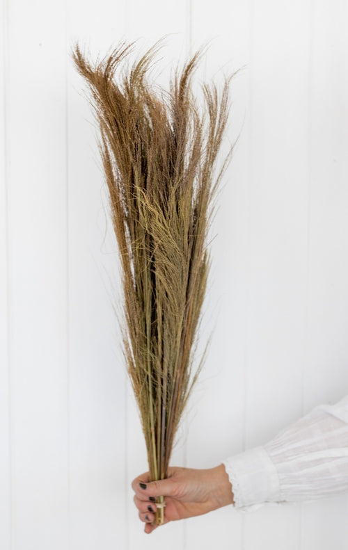 My Flowers.shop Broom gras naturelle droogbloemen | Lengte ± 65 centimeter | Per bos van 100 gram - vtwonen shop