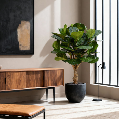 Maxifleur Lyrata deluxe kunstplant op stam 125cm