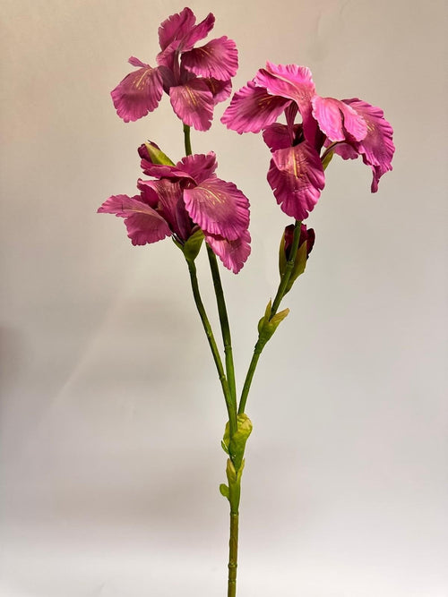 My Flowers.shop Paarse iris zijden bloem | Lengte 80 centimeter | Per stuk - vtwonen shop