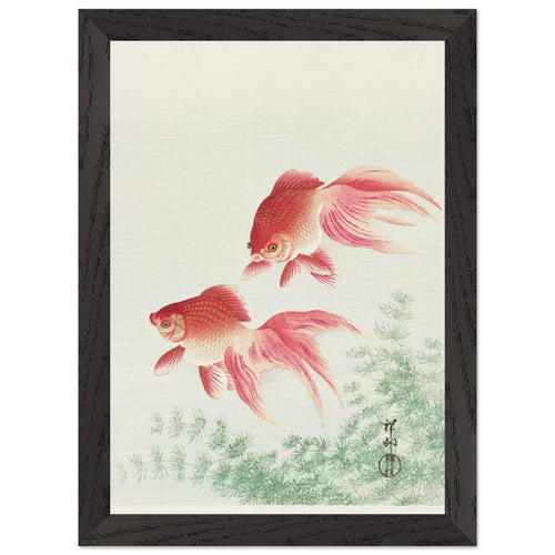 Artfulprints Poster met Lijst Ohara Koson - Two veil goldfish   - A4 21x29.7 cm - Meerkleurig