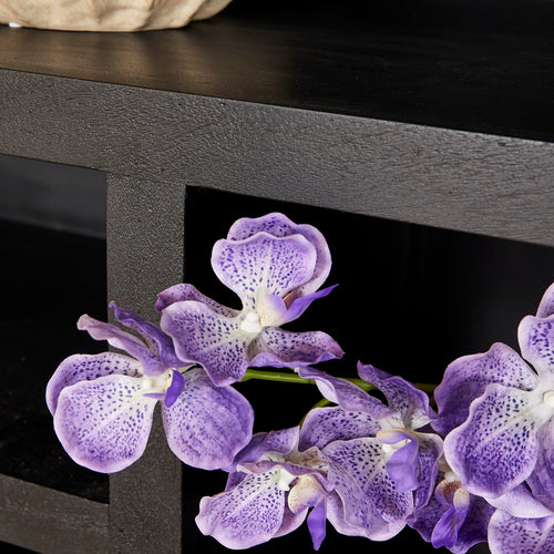 Starfurn  vakkenkast Brussel - zwart - 45x160x200cm - vtwonen shop