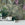 Livingwalls behang bosrijk landschap geel, grijs, groen en roze - 53 cm x 10.05 m - AS-387381