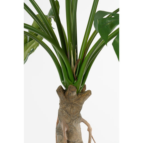 Mica Decorations Monstera Kunstplant - H135 x Ø100 cm - Groen